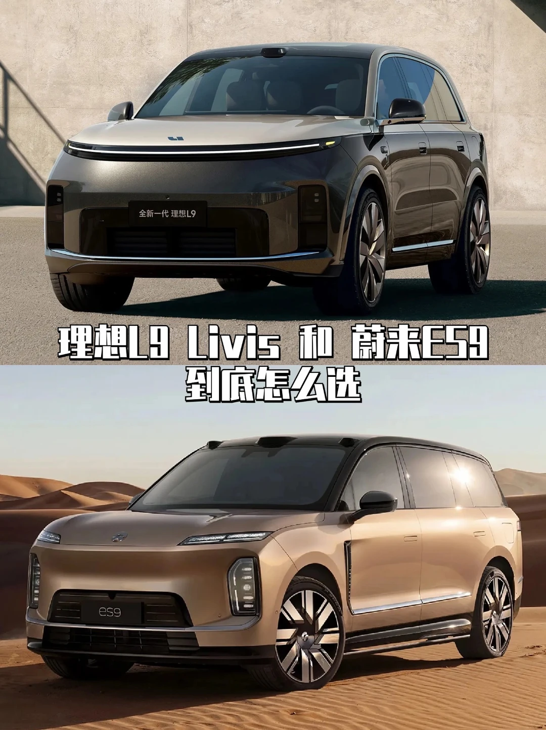 理想 L9 Livis和蔚来 ES9｜50 万旗舰怎么选