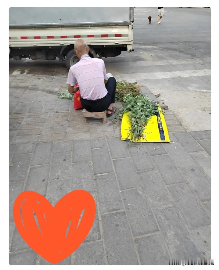 大家发现了吗？今年的端午节有点反常。往年离端午还有一周，大街小巷早就热闹起来