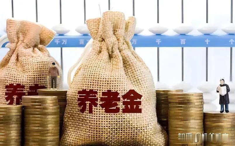 据我观察，闹养老金跟风的主力基本是五零、六零里这一部分人。他们是七八十岁老农民的