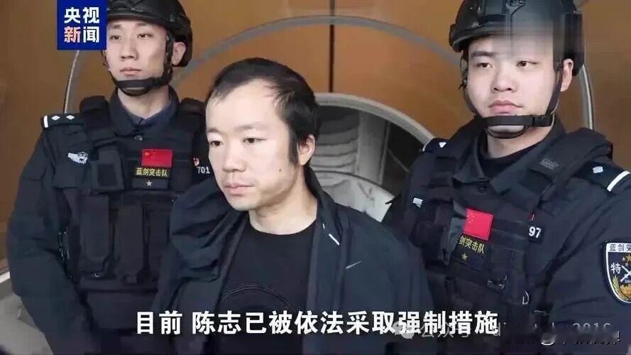 陈志这形象、气质，绝对不像是真正的跨国犯罪集团大佬。多半是犯罪集团随便找这样的盲