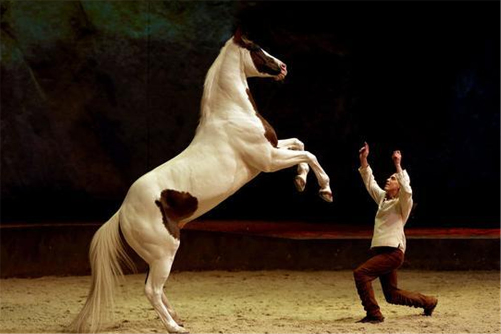 春节的主线任务是让自己快乐起来对于绝大多数中国人来说，春节总是带着一些任务的：小