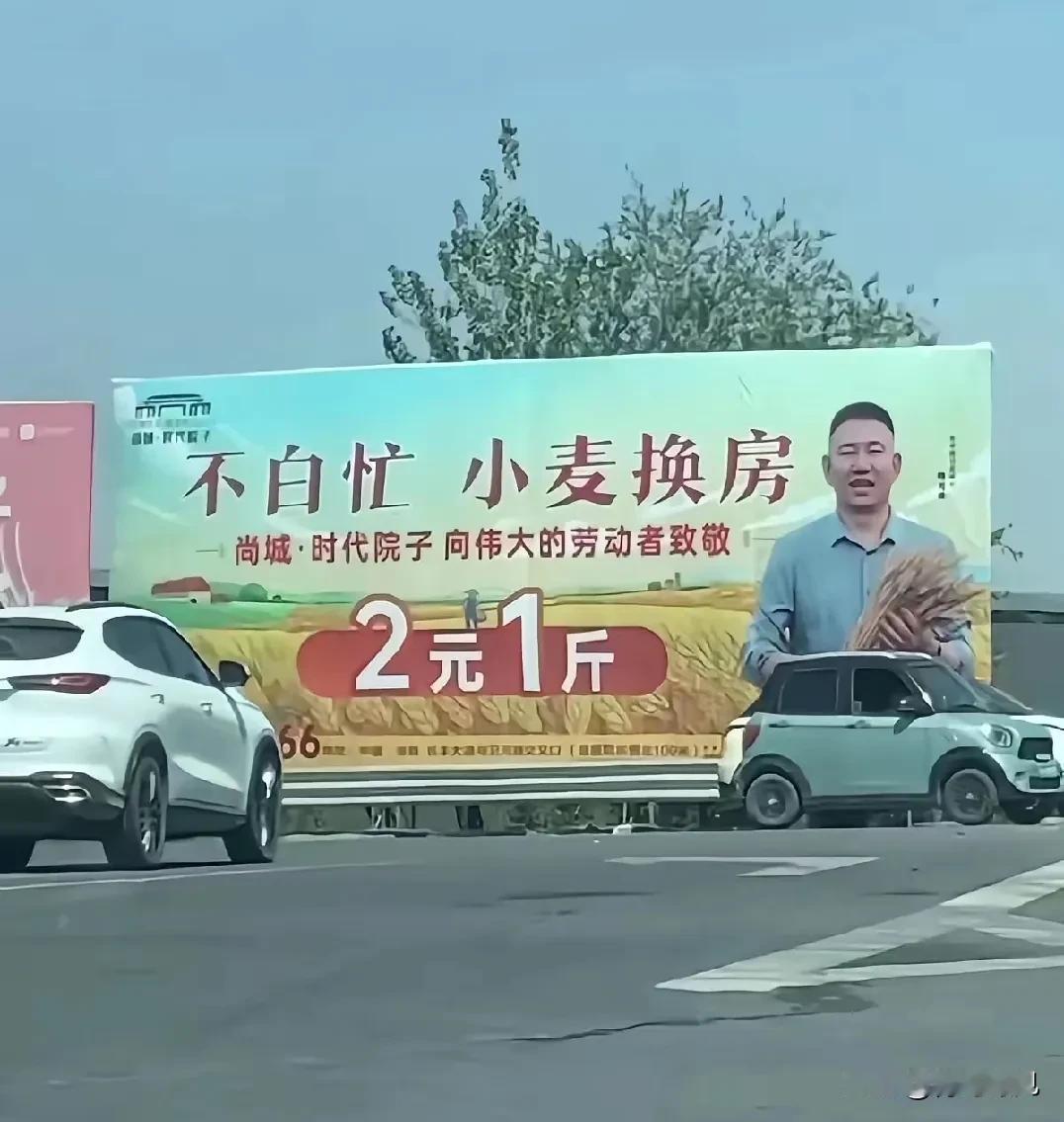 我天，农民要发财了！小麦2元1斤，不白忙，小麦直接能换房！我天，农民要发财的