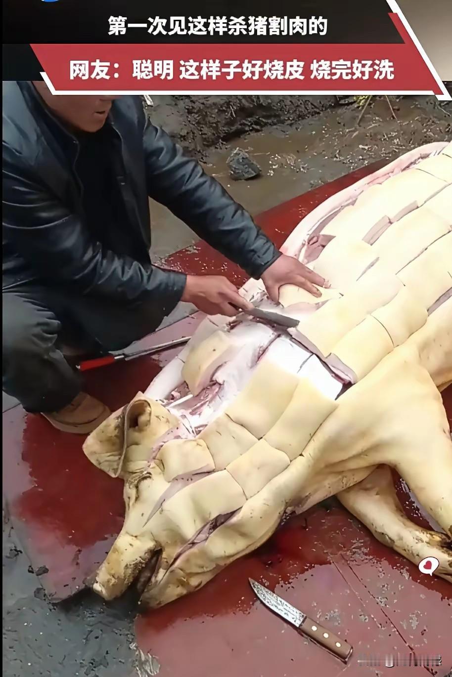这种处理猪肉的方式还是第一次看的，感觉真是很新奇，这种处理方式显得很笨拙，如果拿