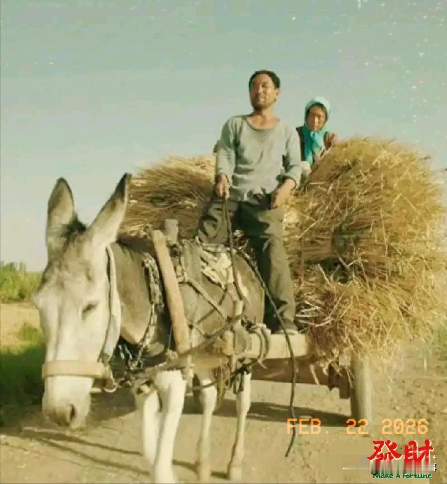 50岁的马有铁在哥哥的强迫下，娶了个不能生育、大小便失禁的女人。新婚之夜马有铁无