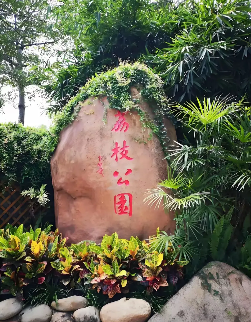 “这才是真正的吃荔枝自由”广东深圳，有一名女子跟朋友结伴到荔枝公园游玩，发现很多
