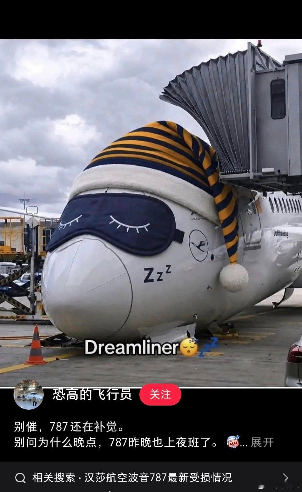 汉莎这架787成了新的网络红机