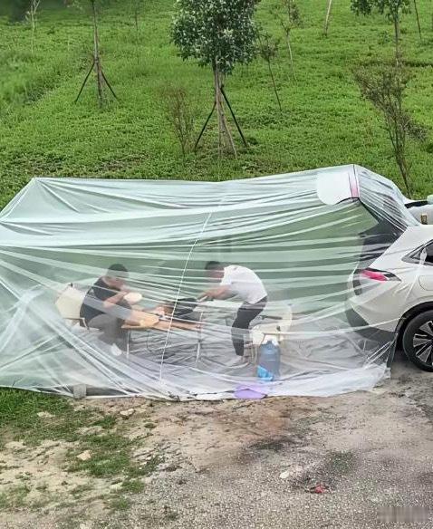 原来露营可以这样真长见识