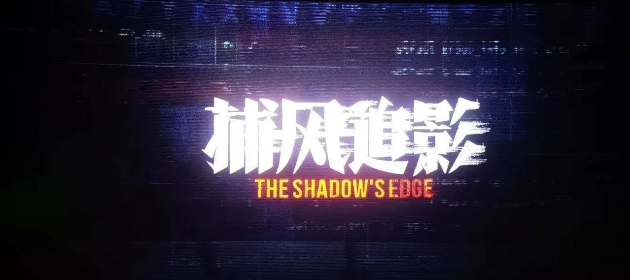 《捕风追影》估计这是成龙、梁家辉两个老头合作的最后一部警匪片。都多大岁数了，还这
