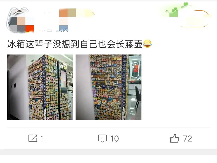 冰箱这辈子没想到自己也会长藤壶？厉害了！一个冰箱贴的满满的密密麻麻的都是……恐