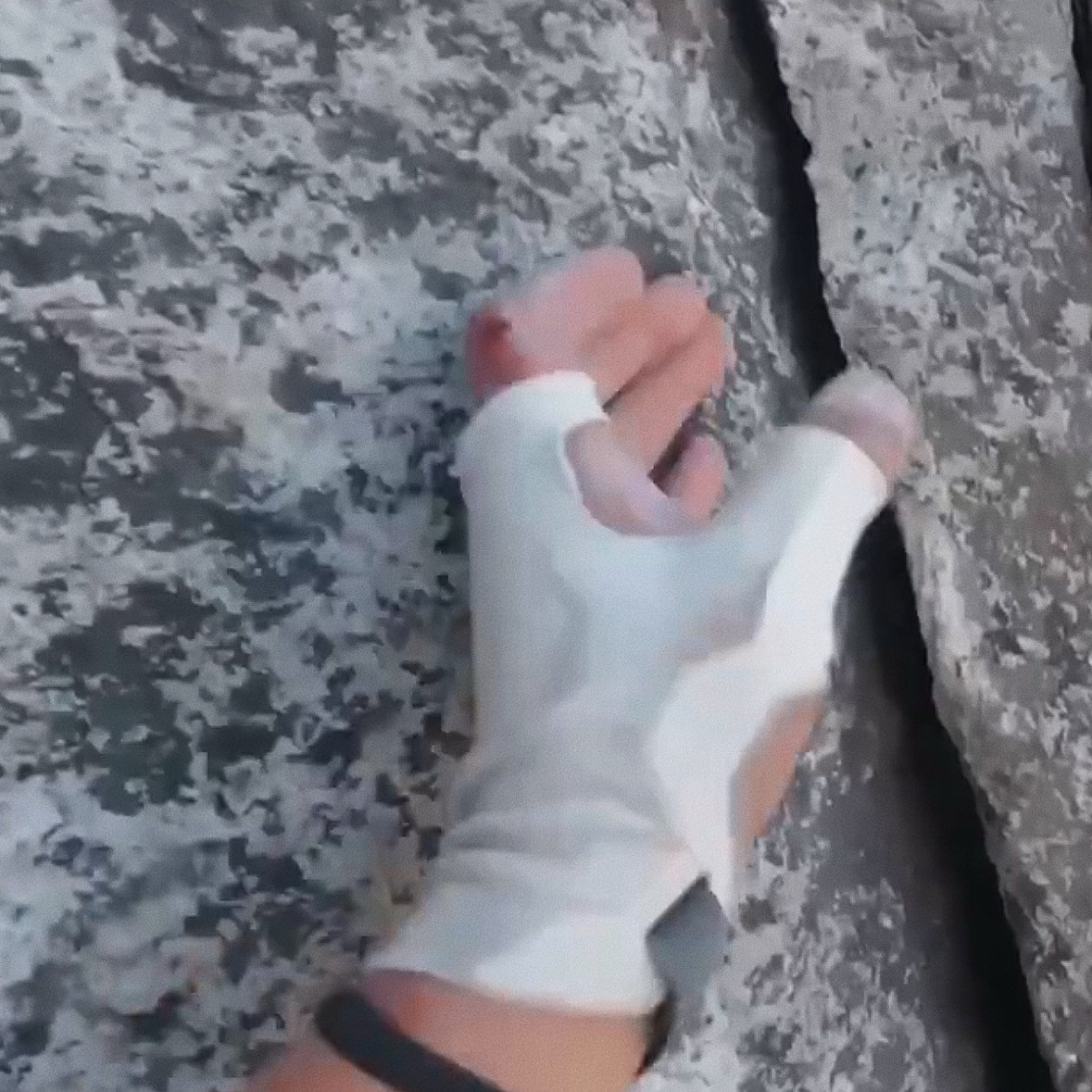 这回不是p图了手都磨烂了