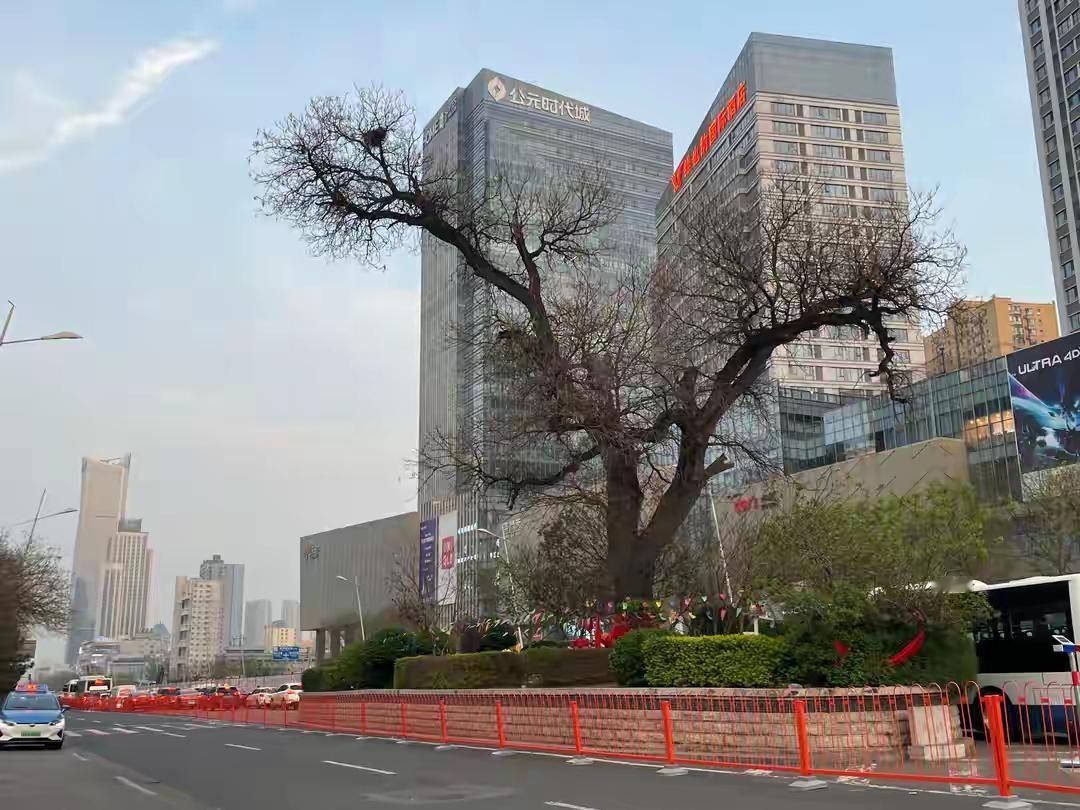 那天，我大便干结，上厕所用力时，突然发觉阴部掉出个鸡蛋般的东西。我猛地想起，五年