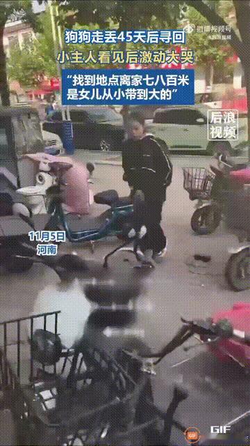 河南一名女子家里养的小狗不慎走失45天，即便家人到处寻找，也没有发现小狗的踪迹，