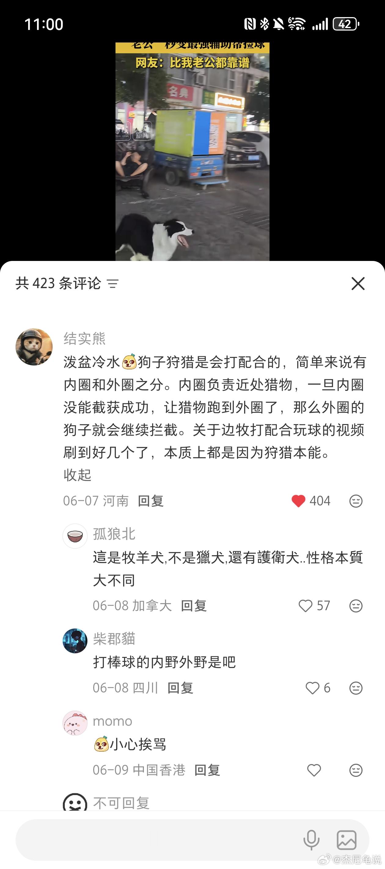 真舔狗 ​​​