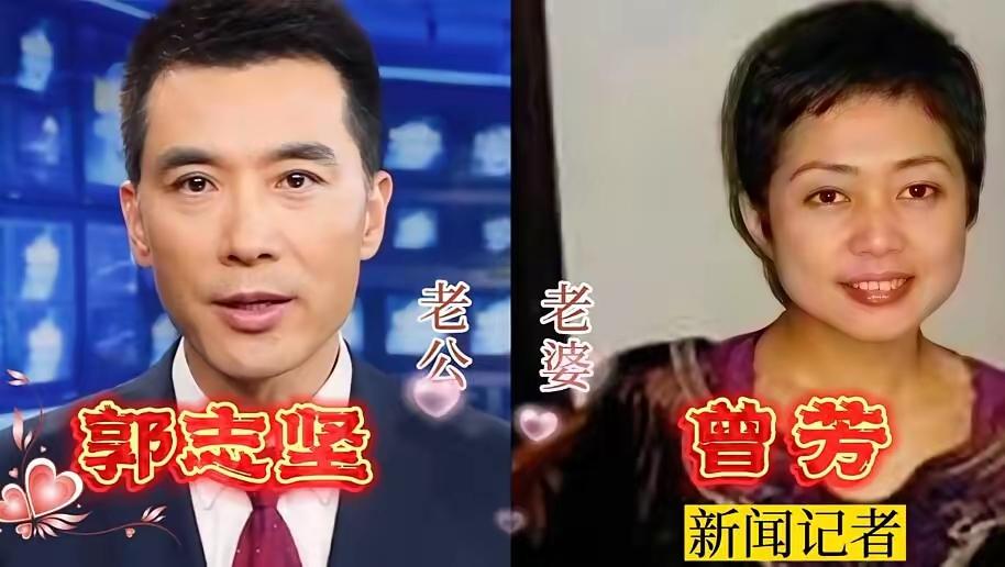 王宁、郭志坚、胡蝶和另一半同框！央视主持人镜头前从容专业，生活里寻得良人相守，气