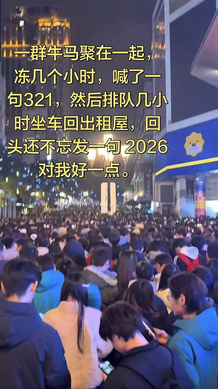 跨年夜，好讽刺。有人说，一群牛马聚在一起，冻了几个小时，喊了一句321，然后排