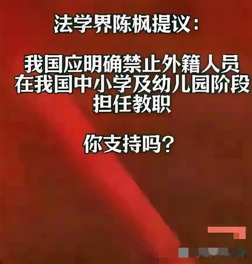 “法学专家”陈枫的一个提议，直接撕开了国际化教育的遮羞布！​他主张通过立法，东