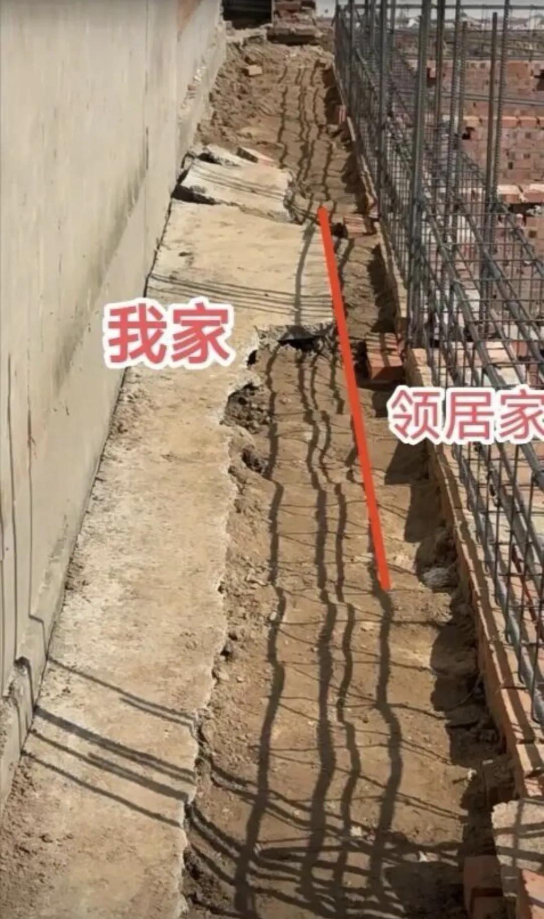 家人们，这该如何应对？