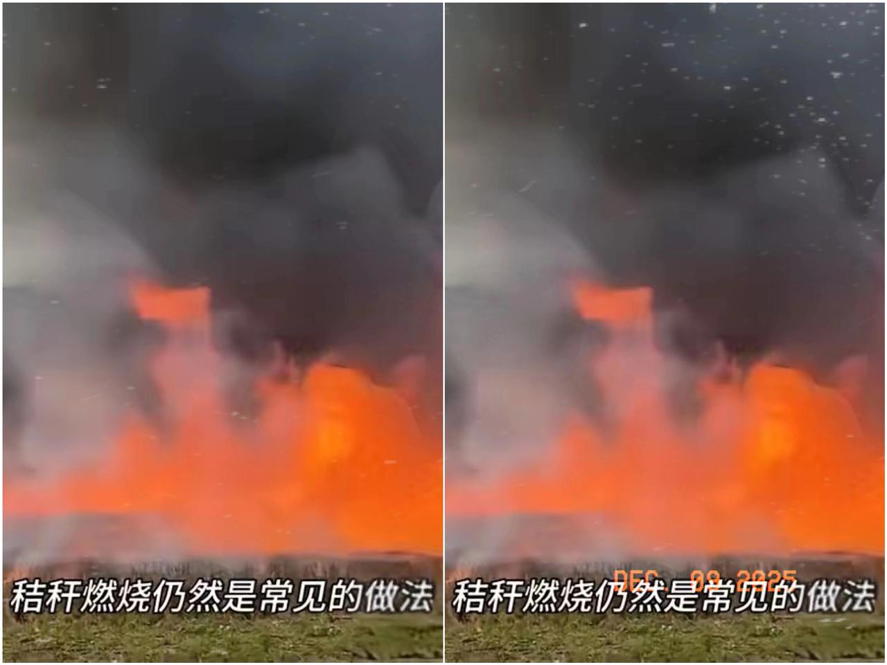 秸秆烧不烧，终于不再靠吵架，靠数据。北师大最新研究甩出硬核证据：500℃控烧产