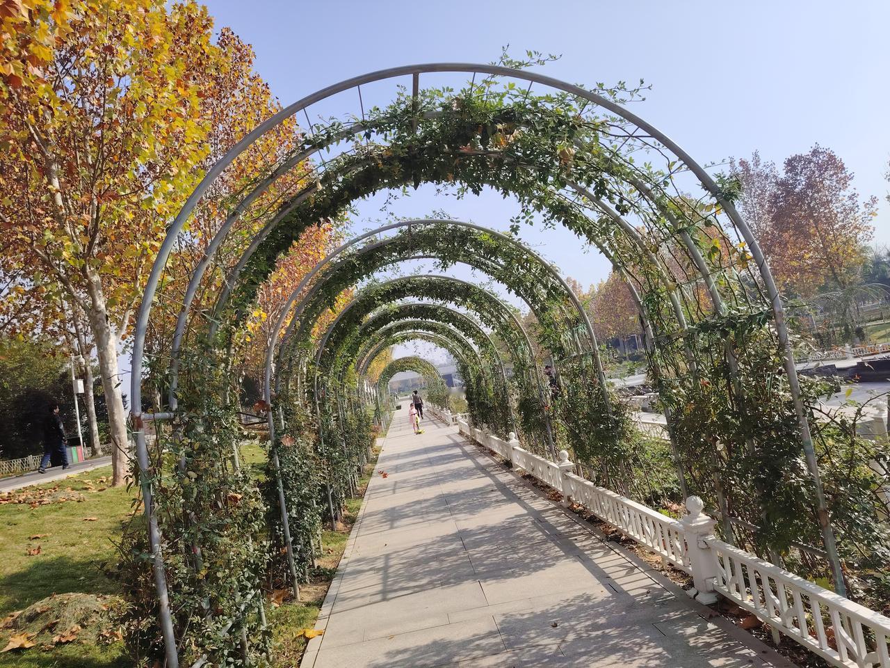 巡察组进驻学校，王校长严厉下令：上班期间禁止外出，就算是去接孩子也不可以，违反者