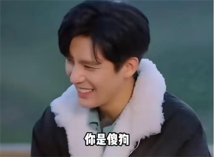 金晨：“两个狗，一个狗叫丁丁，一只叫Lumi。”王安宇：“都是啥狗？”金