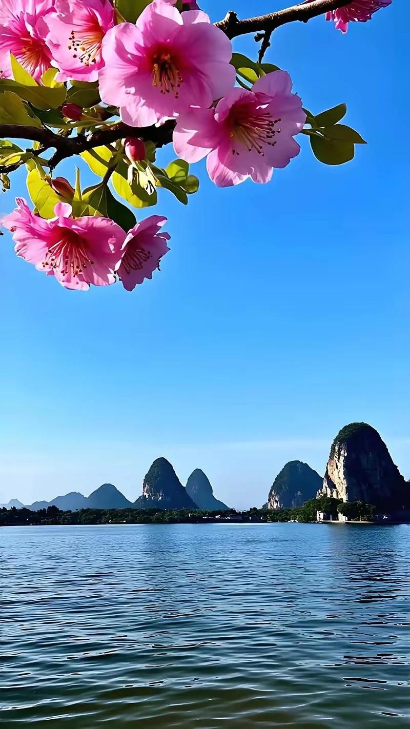 师友深有体会地，为所有老人精彩僻地总结了五个方面，必须要做到的事，千万不能忽略，