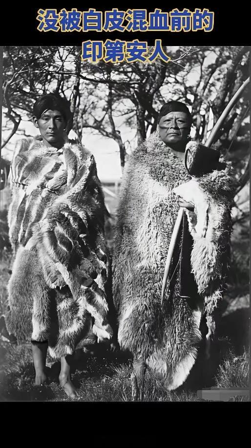 东亚黄种人面相啊