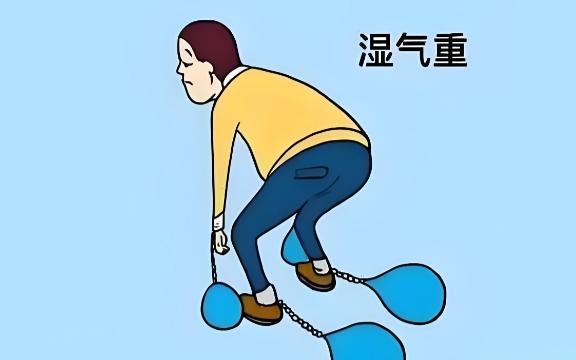 湿气入心猝死，入脾阳痿，入筋发麻！一个药，除遍全身湿气💦体内湿气重从不是单纯