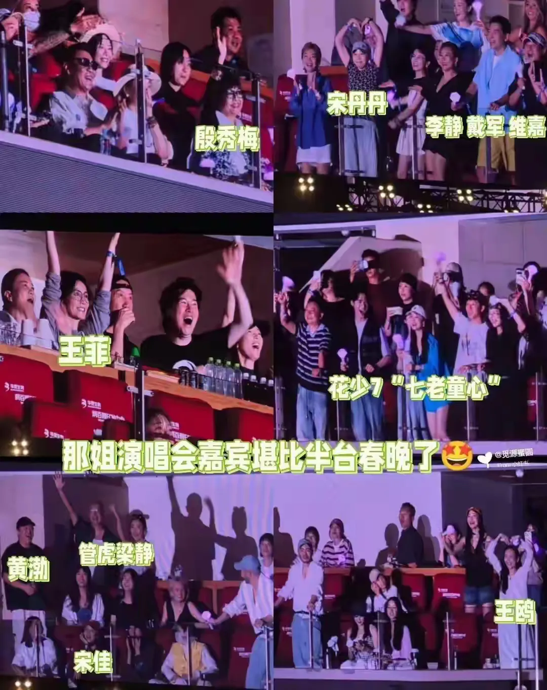 那英北京演唱会，请来的重要嘉宾是王菲、毛阿敏、殷秀梅和杨坤、屠洪刚这几个人，她们都静悄悄坐在包厢里，
