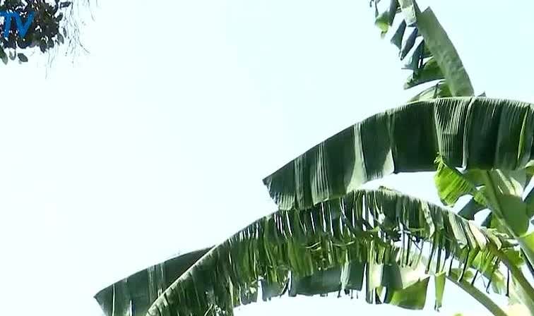 福建男子离婚时约定市区房和大女儿归前妻，自己带小女儿并每月支付大女儿3000元抚
