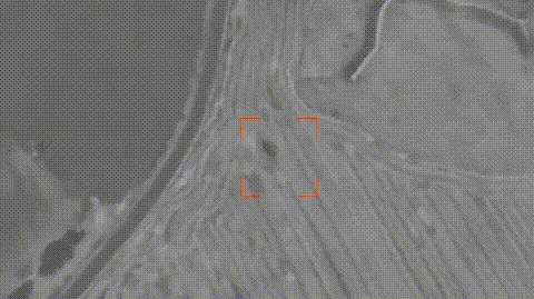 乌军控诉俄罗斯用上中国“反野猪雷达”,外国网友傻眼:中国农民都有相控阵?近日