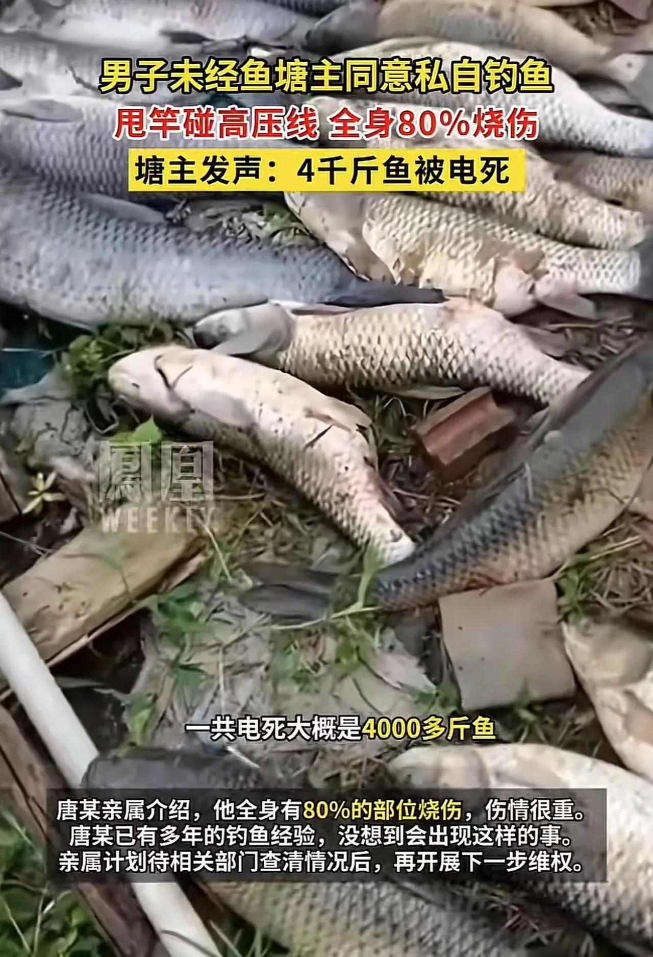 “这个鱼塘主太冤了！”广西桂林，28岁男子未经鱼塘主同意偷偷去鱼塘钓鱼，结果甩竿