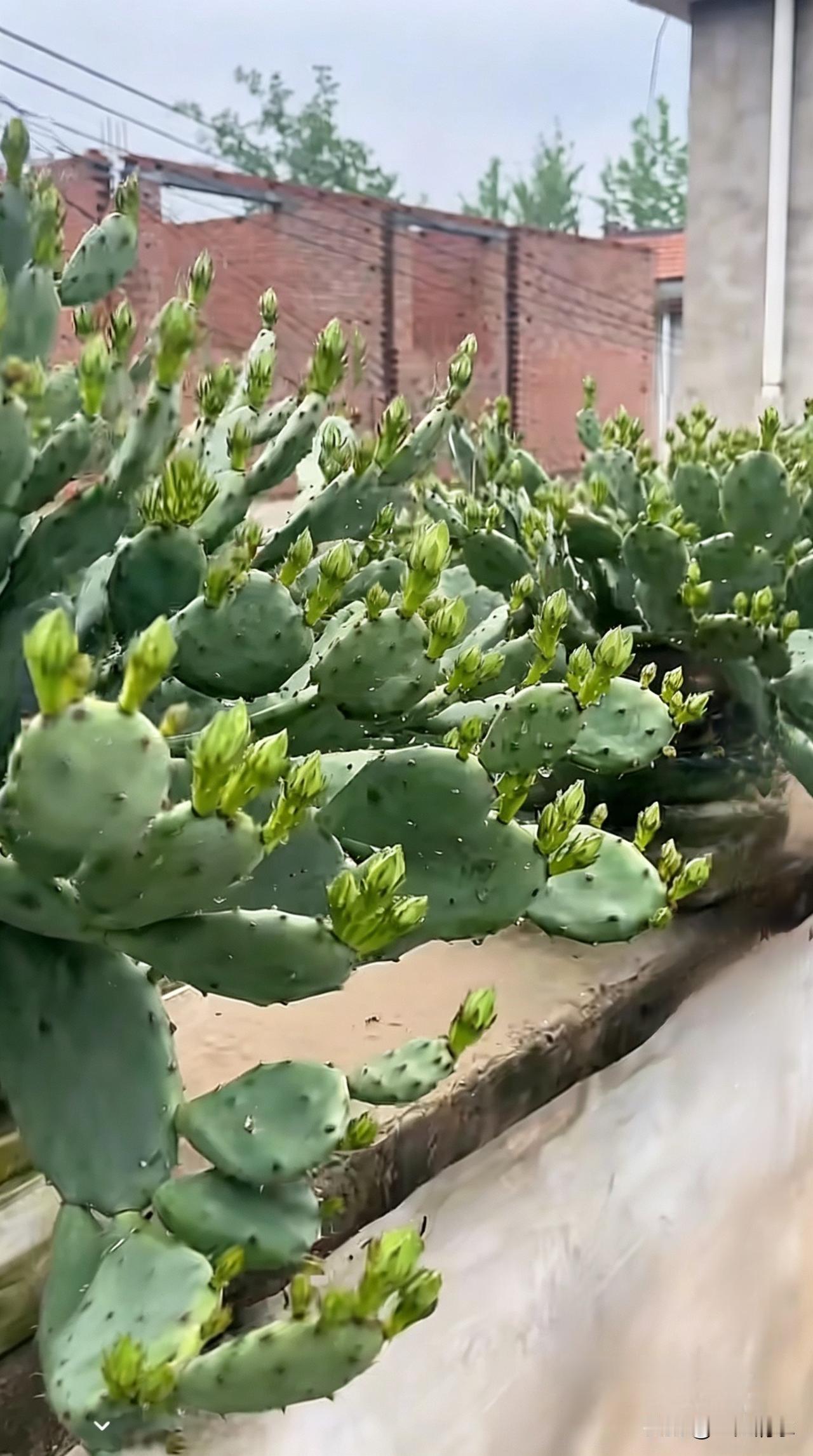 看到很扎心的一句话：“你是永远都不可能掌握自己寿命的。不要以为你坚持锻炼身