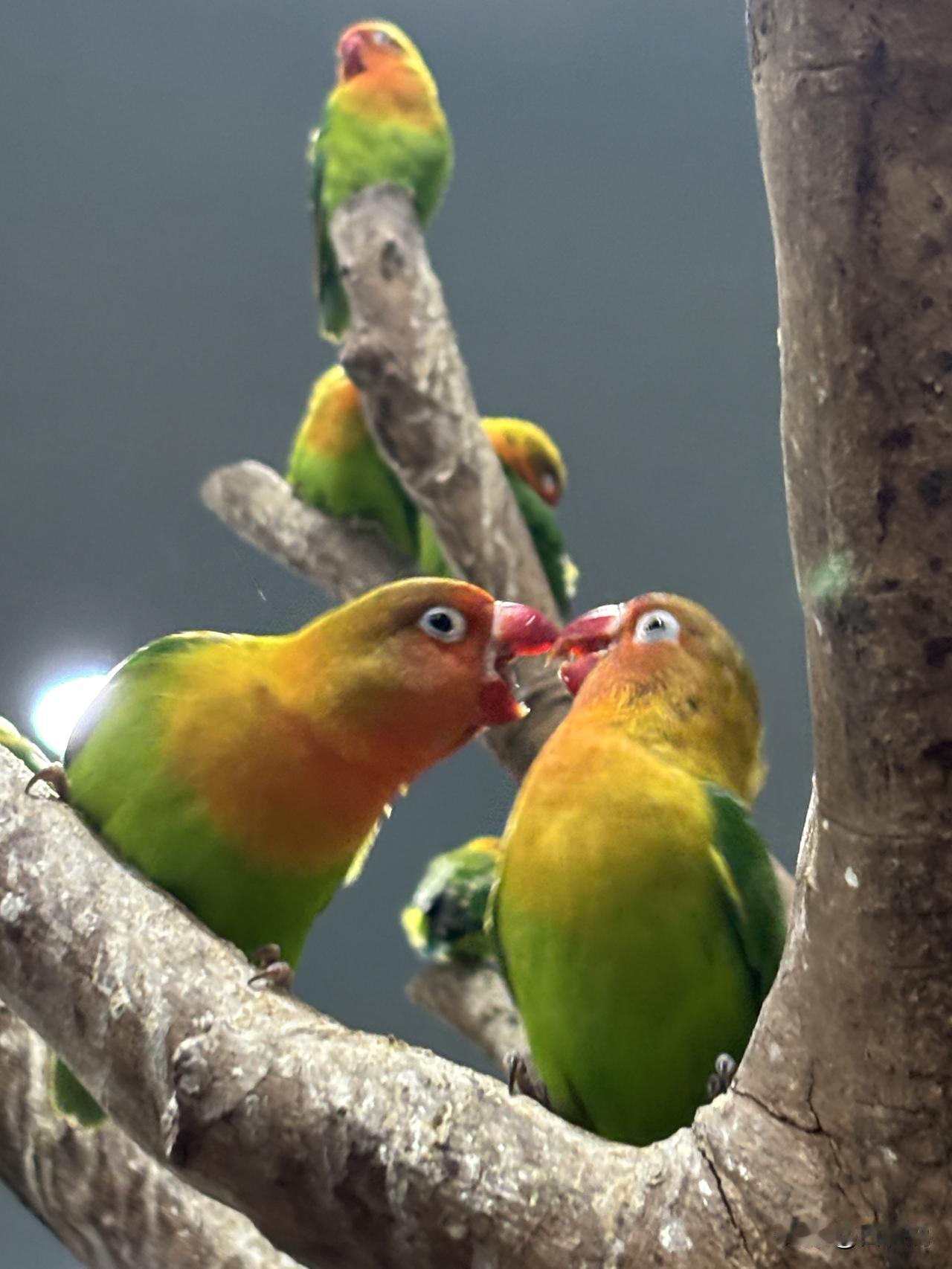 和任何人打交道，记住这两招：一，事要缓。遇事先沉住气，别被情绪推着走。有人