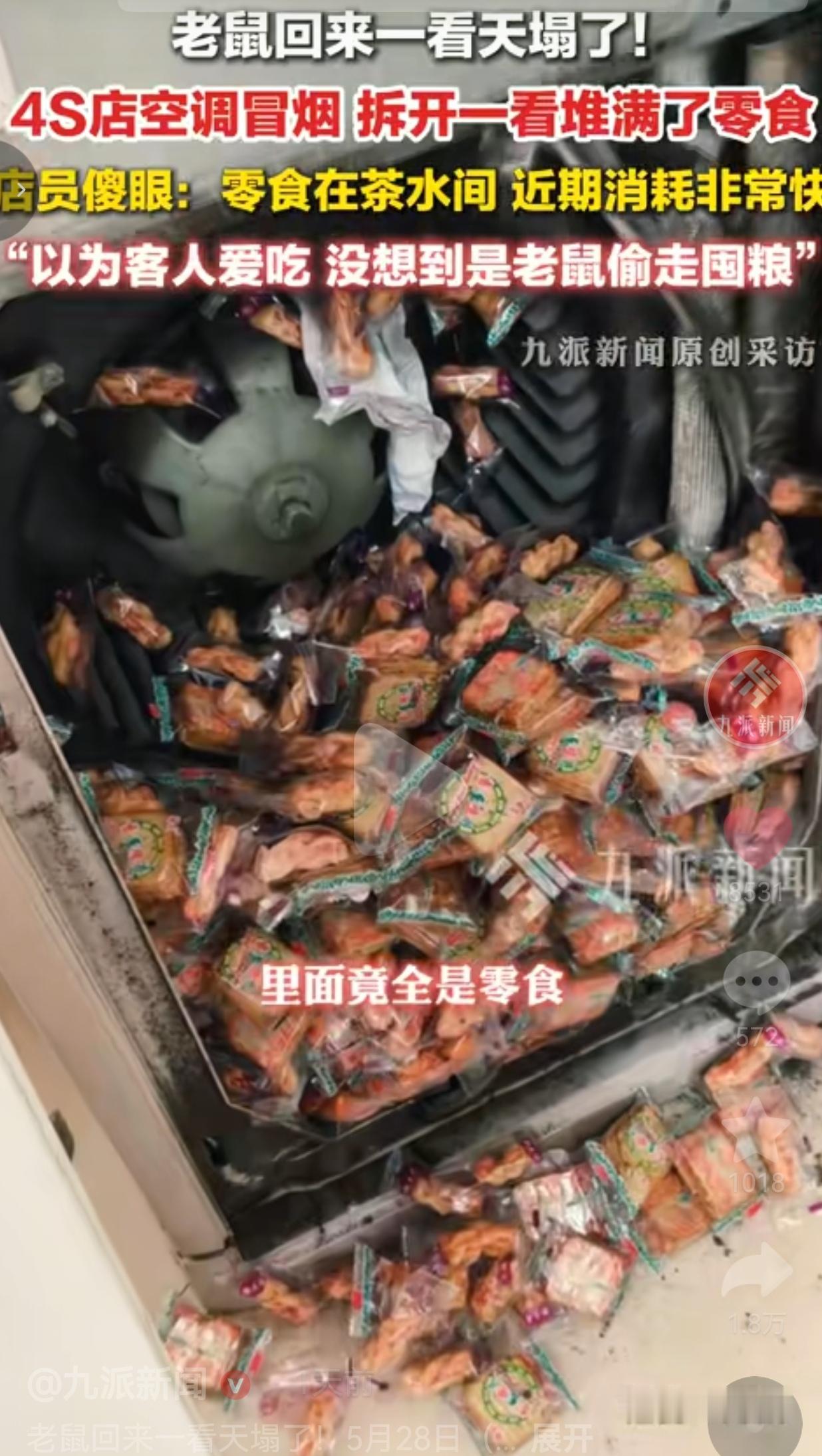 老鼠的“粮仓”被一锅端！4S店空调突然冒烟，大伙都笑翻了河南许昌这家4S店