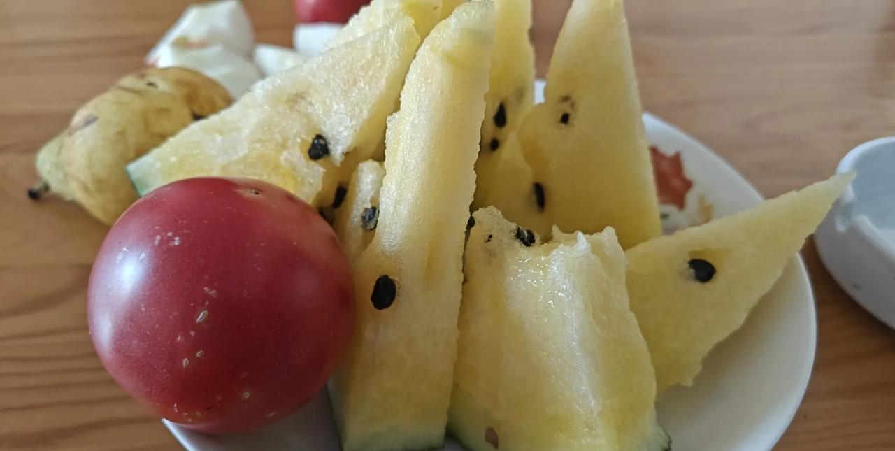 西瓜是前几天鲅鱼圈小区大侄子媳妇洋洋抱过来的，洋洋89年出生在哈尔滨，父母做生意