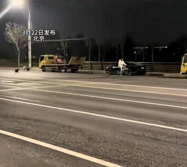 2026年3月21日晚，北京市海淀区栖海澐颂小区发生流浪狗群围攻居民事件。一名骑