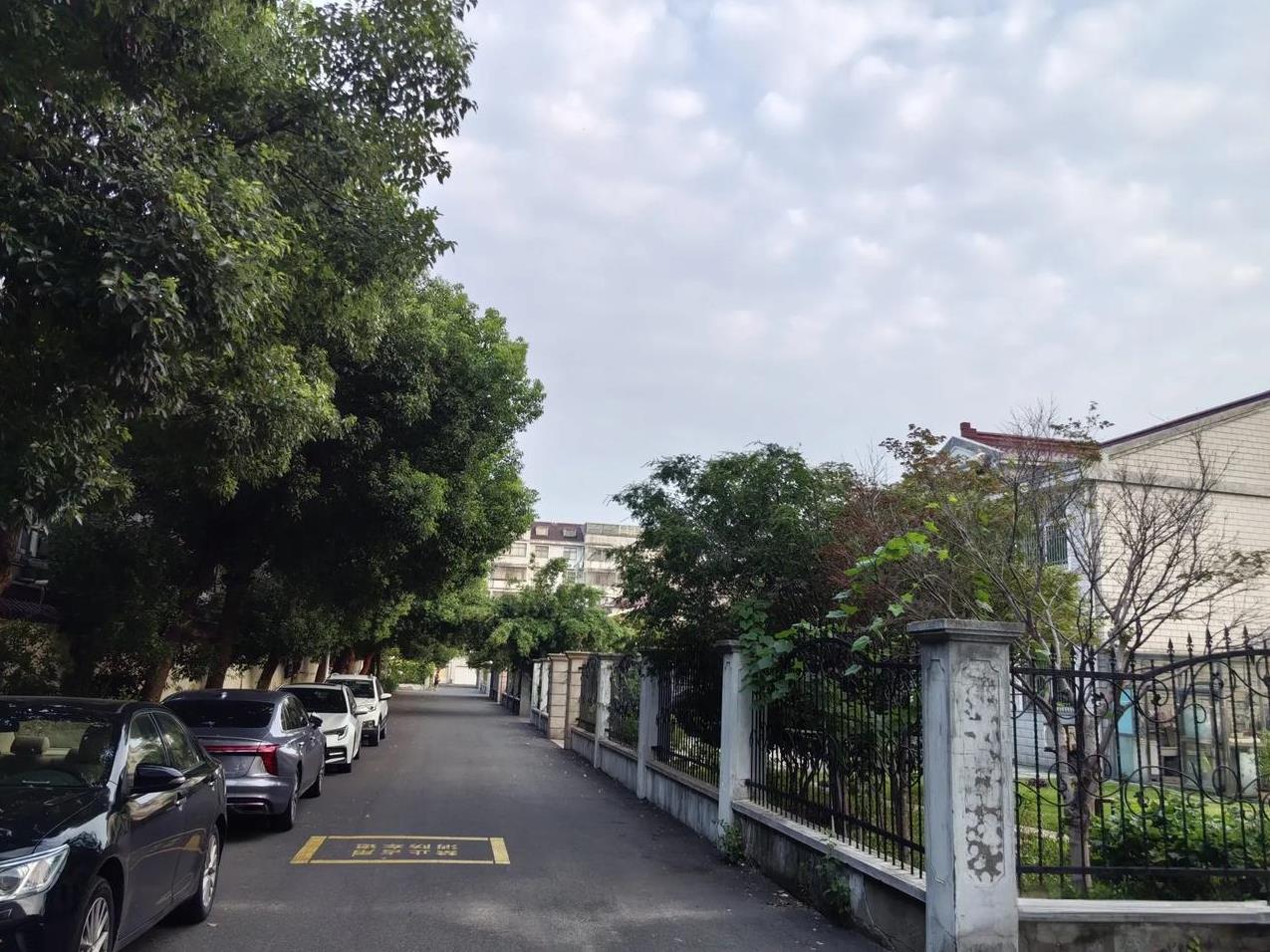 这两天，清晨出去散步，总觉得小区里好像少了什么。奥，原来是图二原来拍的那些流浪狗