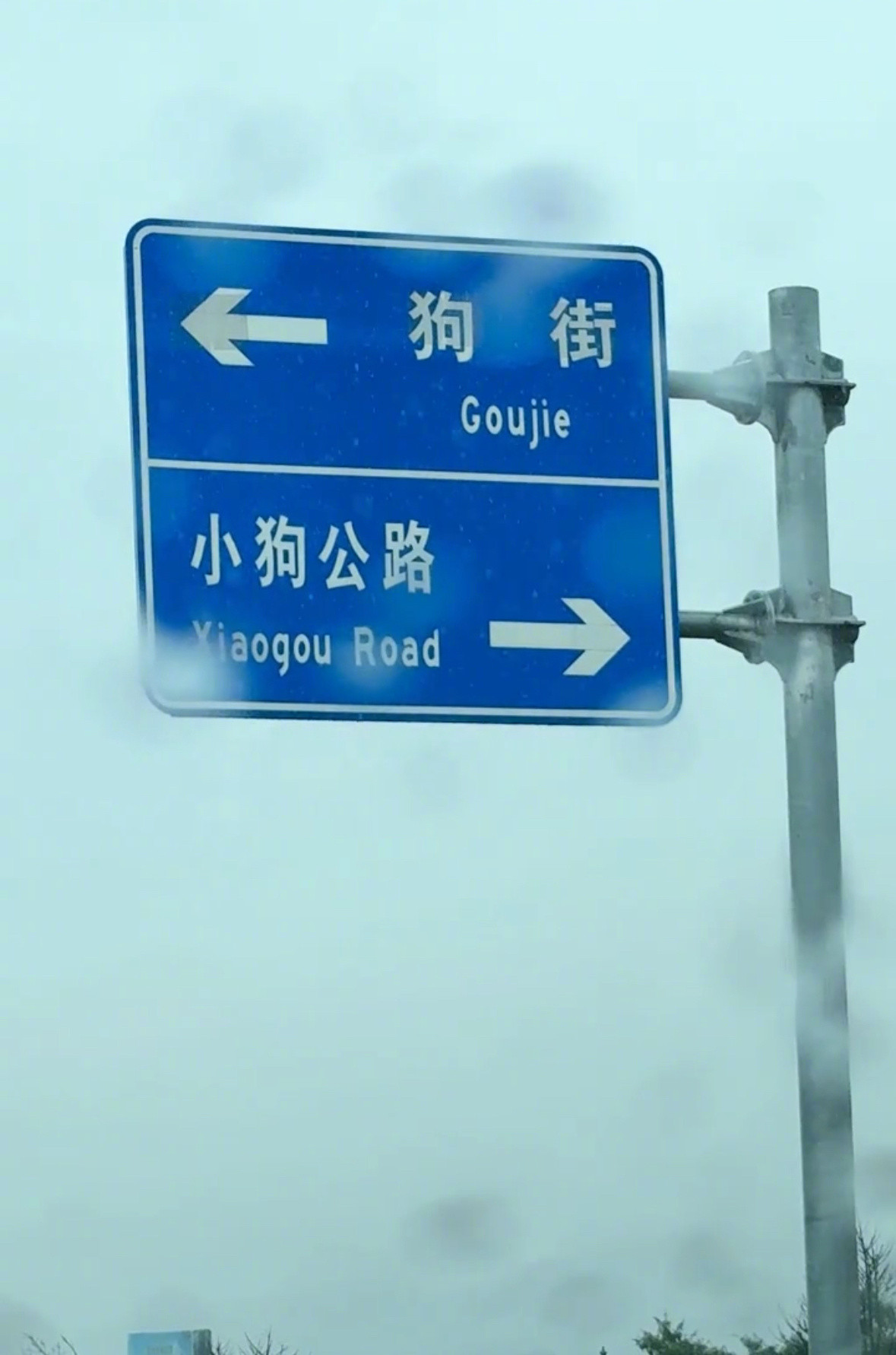 云南的小动物路牌也太可爱了​​​