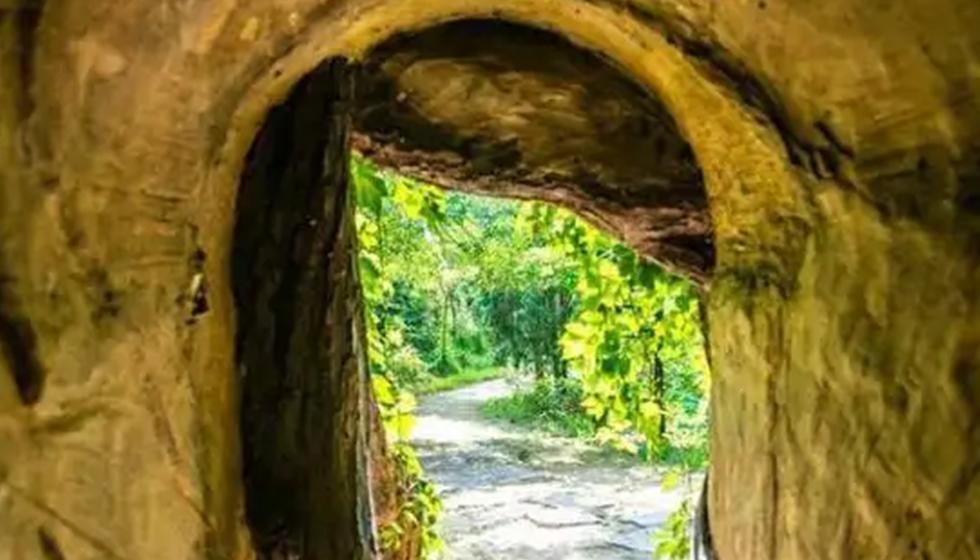 1980年，山西杨大爷带着2根金条来到银行，说想把金子换成钱！那天雨刚停，吕