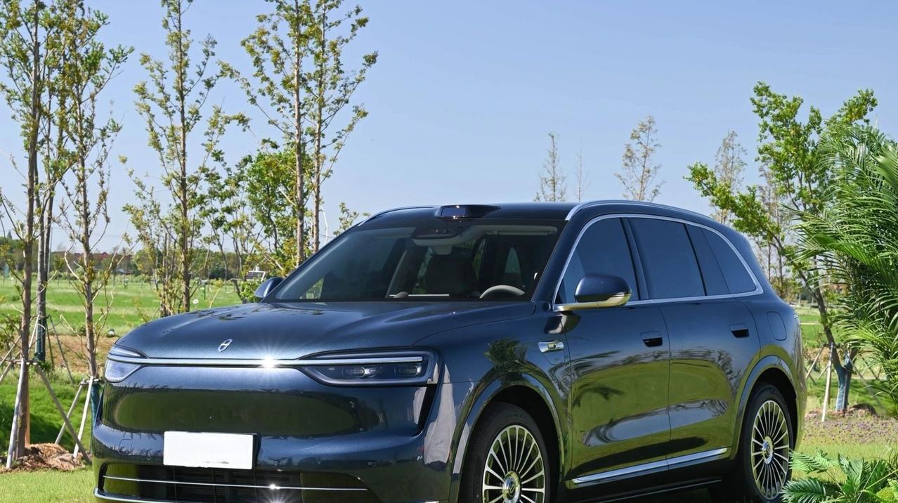 30万内中大型SUV，问界M7、理想L6，D19。陪二胎同事看车，预算30万要智