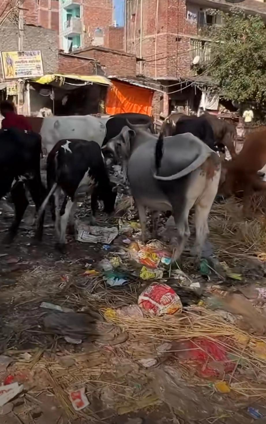 印度:按照全球营业额10%进行处罚简单粗暴的方案，苹果是新法案第一个受用者，