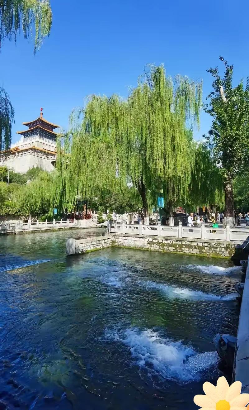 在济南出现了一种全新的结婚模式,照此下去,这恐怕让婚庆行业都要干不下去了。