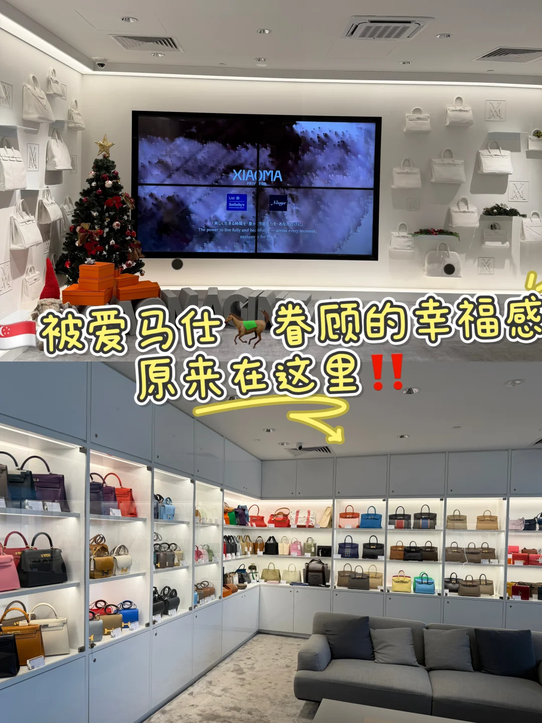 ✨出息了！朋友来新加坡竟然想买爱马仕菜篮子