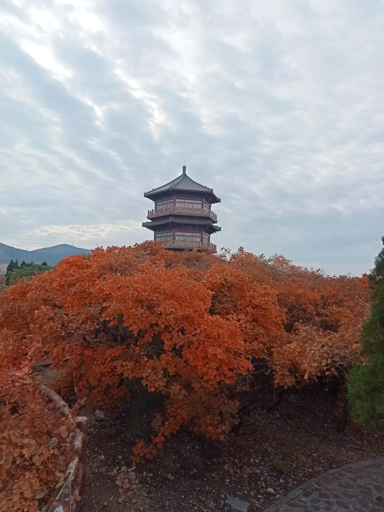 为啥暖气进水温度低?进水温度低显然是水温低所致。如今，供暖单位追求效益，而居民