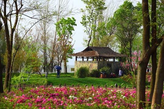 你那么努力温暖别人，谁来温暖你？“晨光像金色的薄纱，悄悄溜进房间。”此时我