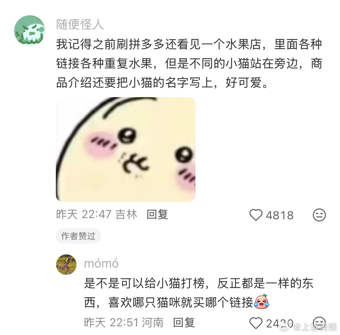 各行各业都有属于自己的猫奴！！！