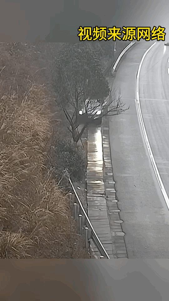 合资：“这树怎么这么硬？”比亚迪：“有吗？”合资：“有啊，都把我撞变形了，树