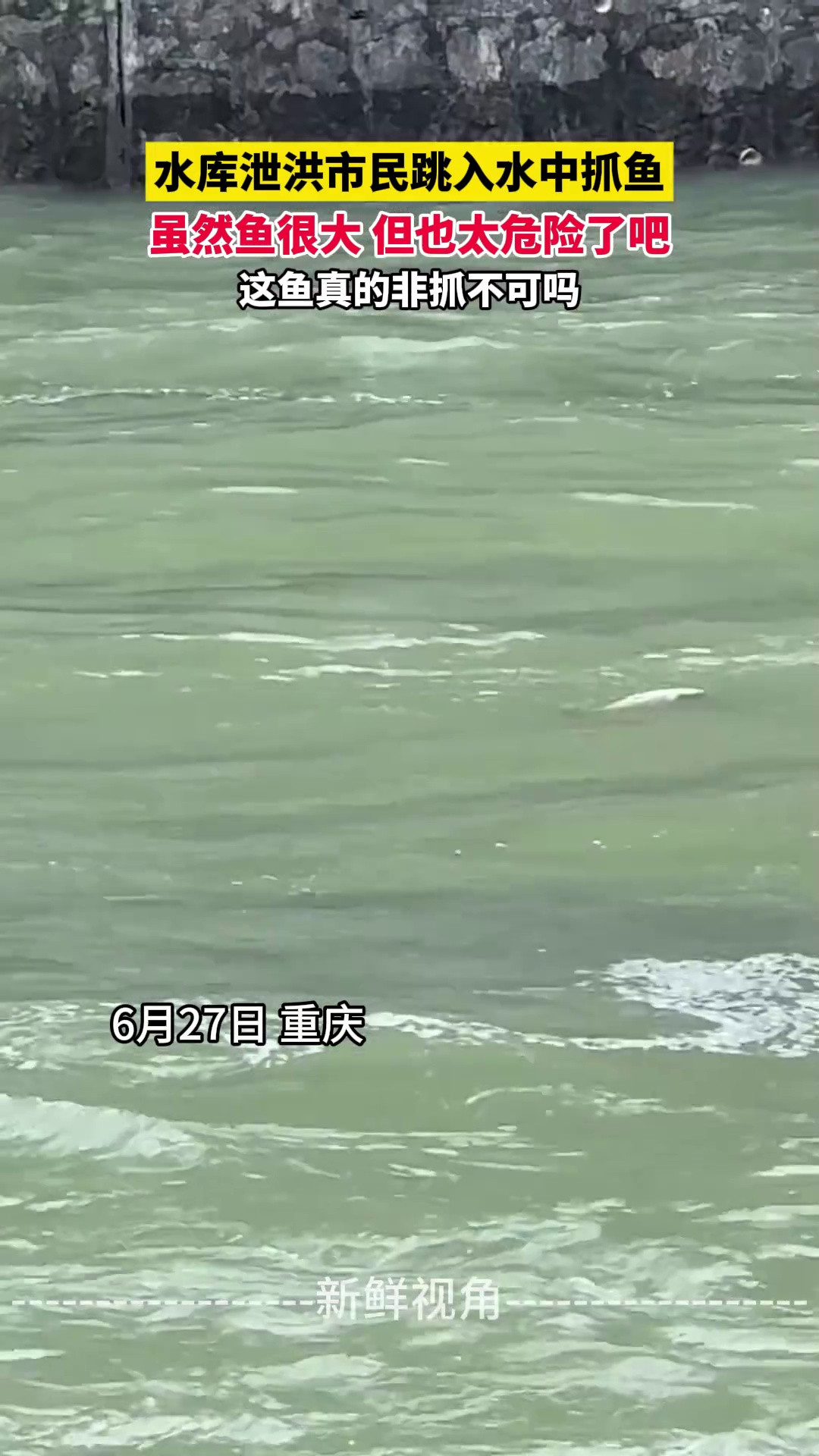 水库泄洪市民跳入水中抓鱼虽然鱼很大但也太危险了吧