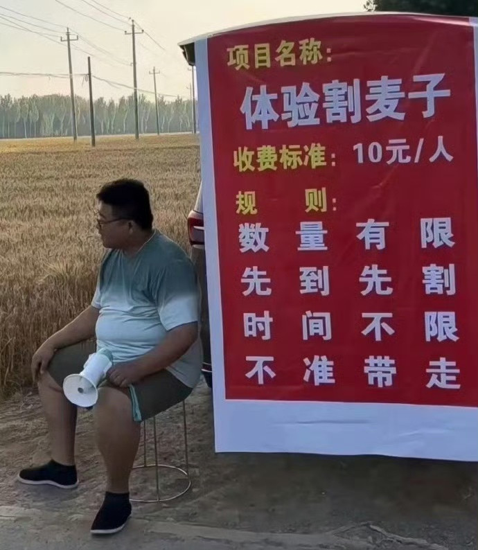 相信这个项目有吃饱撑得慌的人去体验的！
