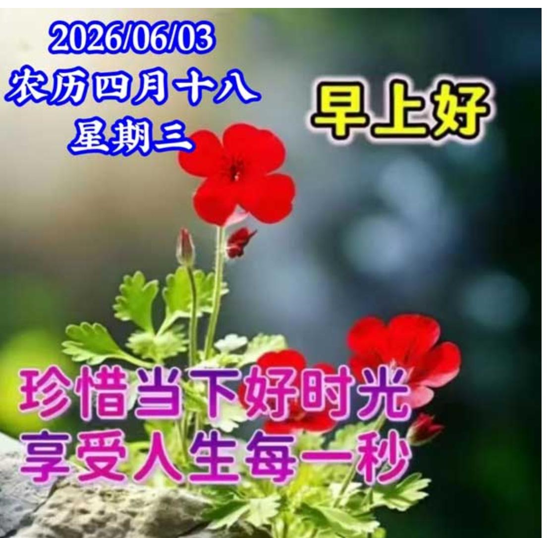 早上问声好，心情自然好；人生能相遇，珍惜今生缘；时光不回头，开心忘忧愁；看